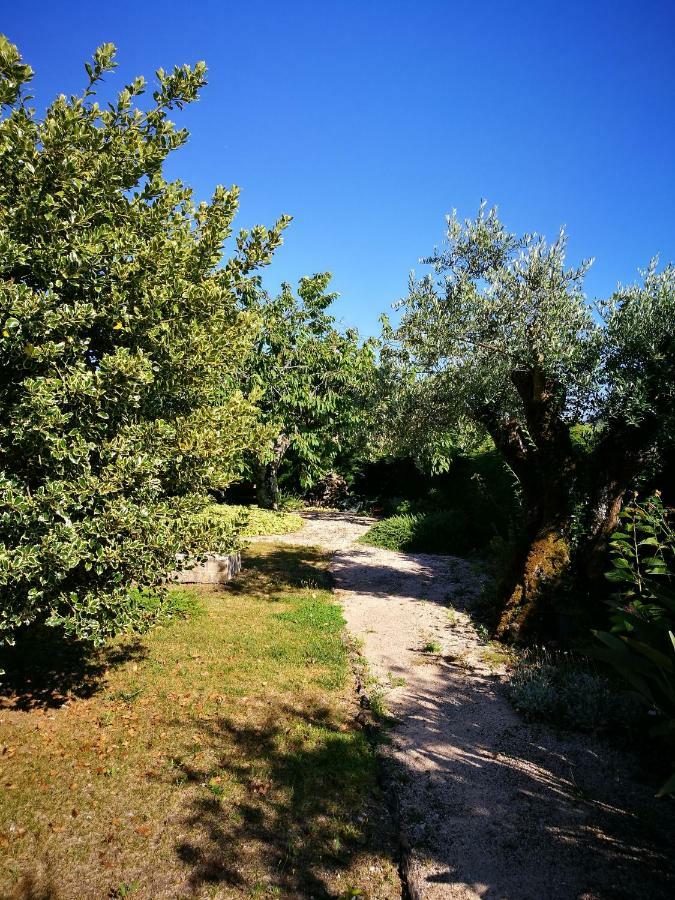 Casa Da Fonte Villa Alviobeira Buitenkant foto